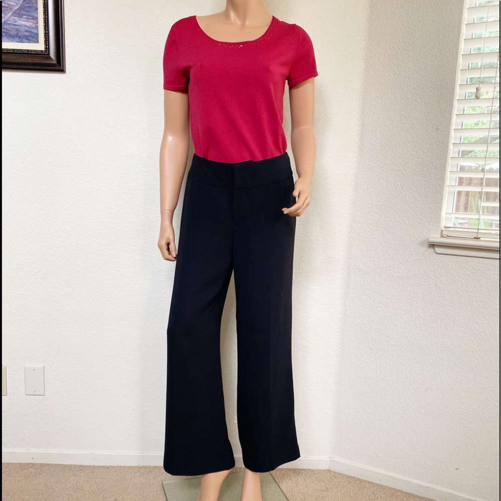 Banana Republic Harrison Wide Leg Dress Pants